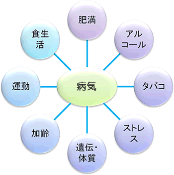 日頃の生活習慣と病気