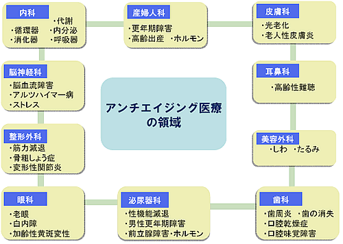 アンチエイジング医療の領域