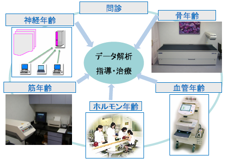 抗加齢（アンチエイジング）ドック検査項目